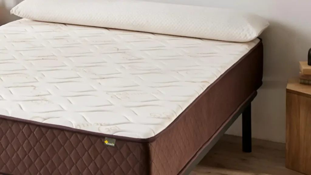 Precios de Limpieza de colchones 6 desinfectar-un-colchon-con-vapor