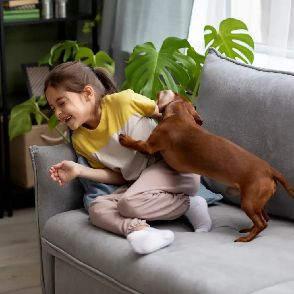 mantener-el-sofa-limpio-y-nuevo