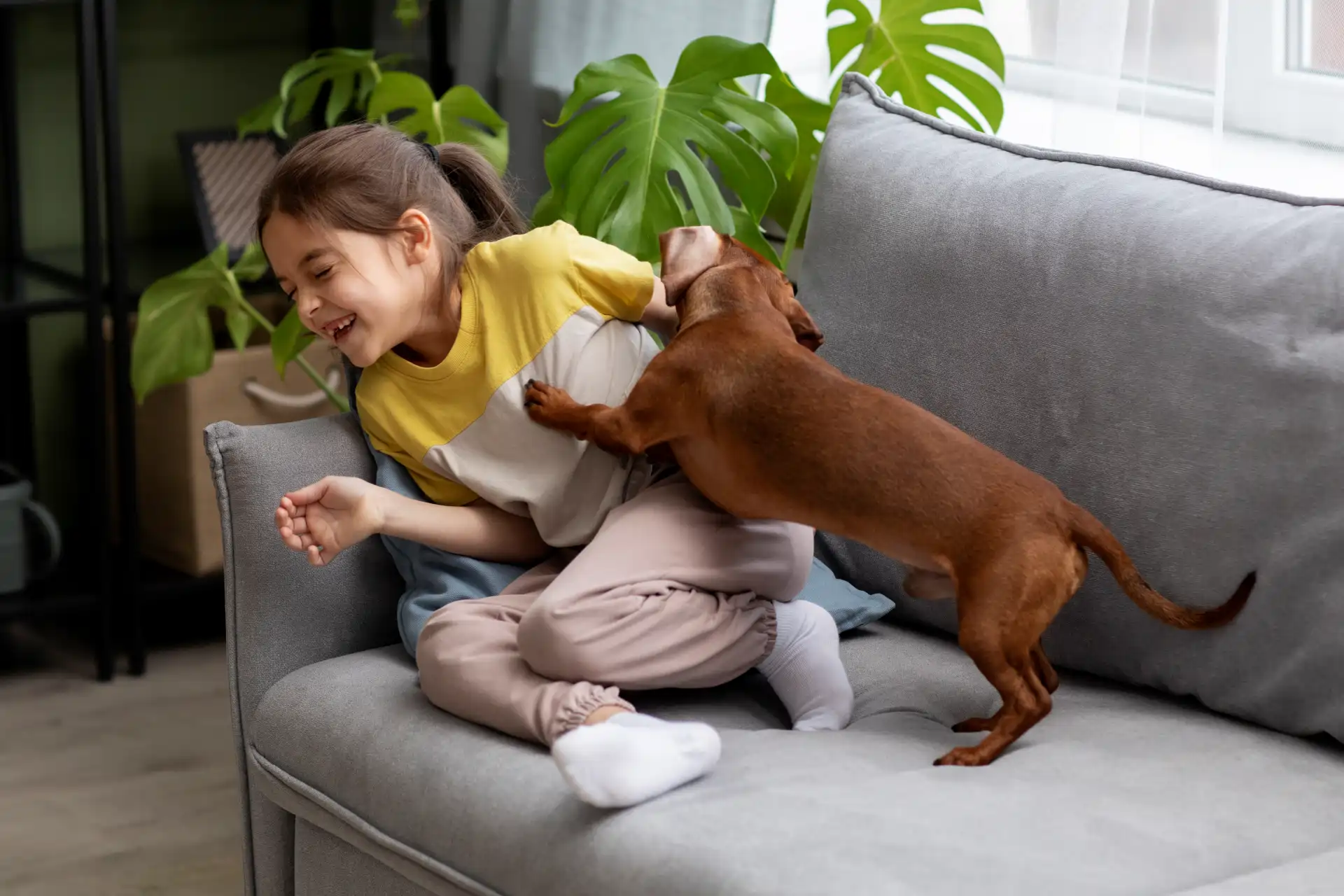 que-los-buenos-momentos-no-dejen-manchas-en-tu-sofa