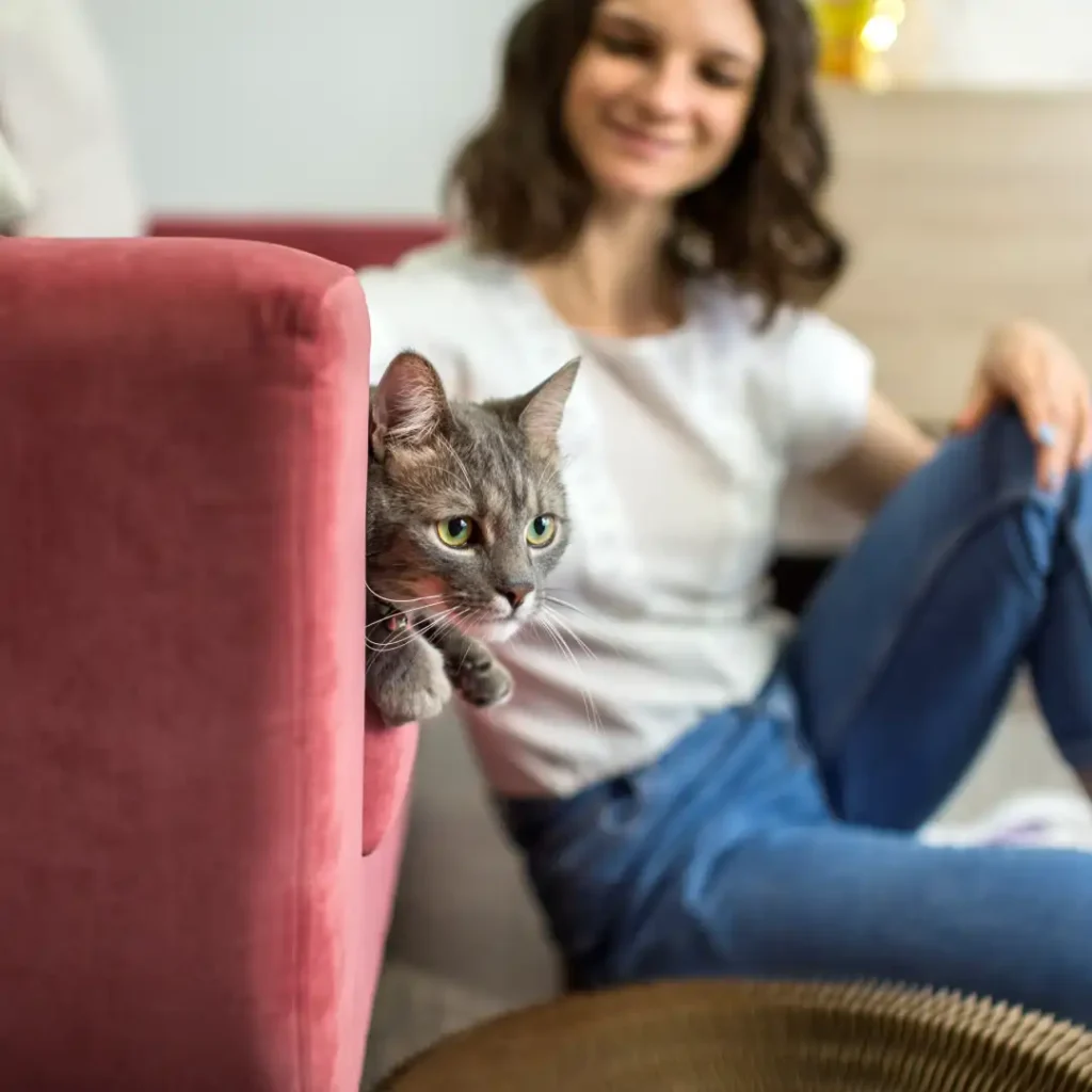 Riesgos de Que Tus Mascotas Suban al Sofá y a la Cama germenes-de-animales-como-convivir